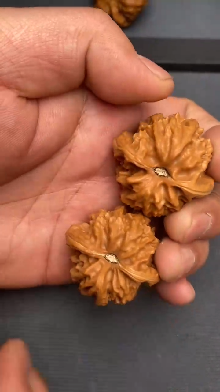 【闪购商品】文玩核桃把件曹大龙38左右（已打底）