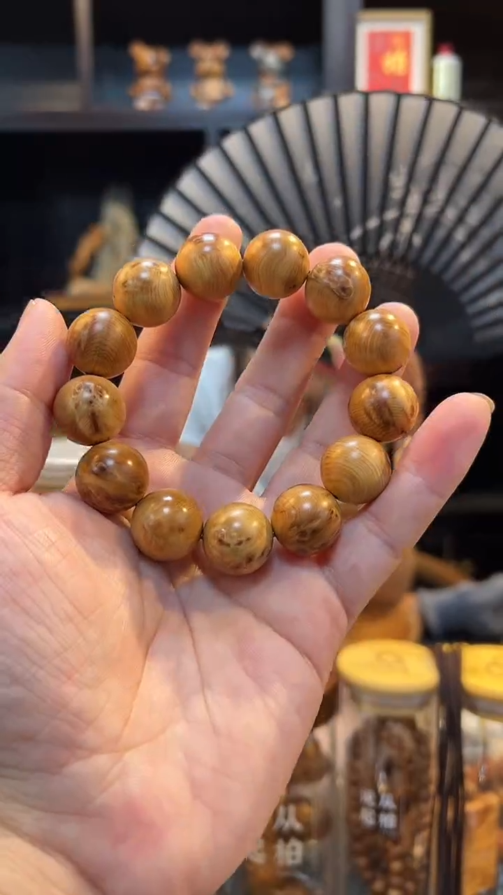 18瘤花圆珠太行太行