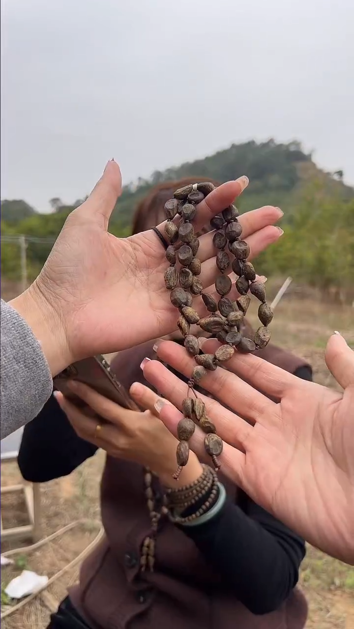 【闪购商品】沉香手串棋楠钻石珠31克沉水多圈一条