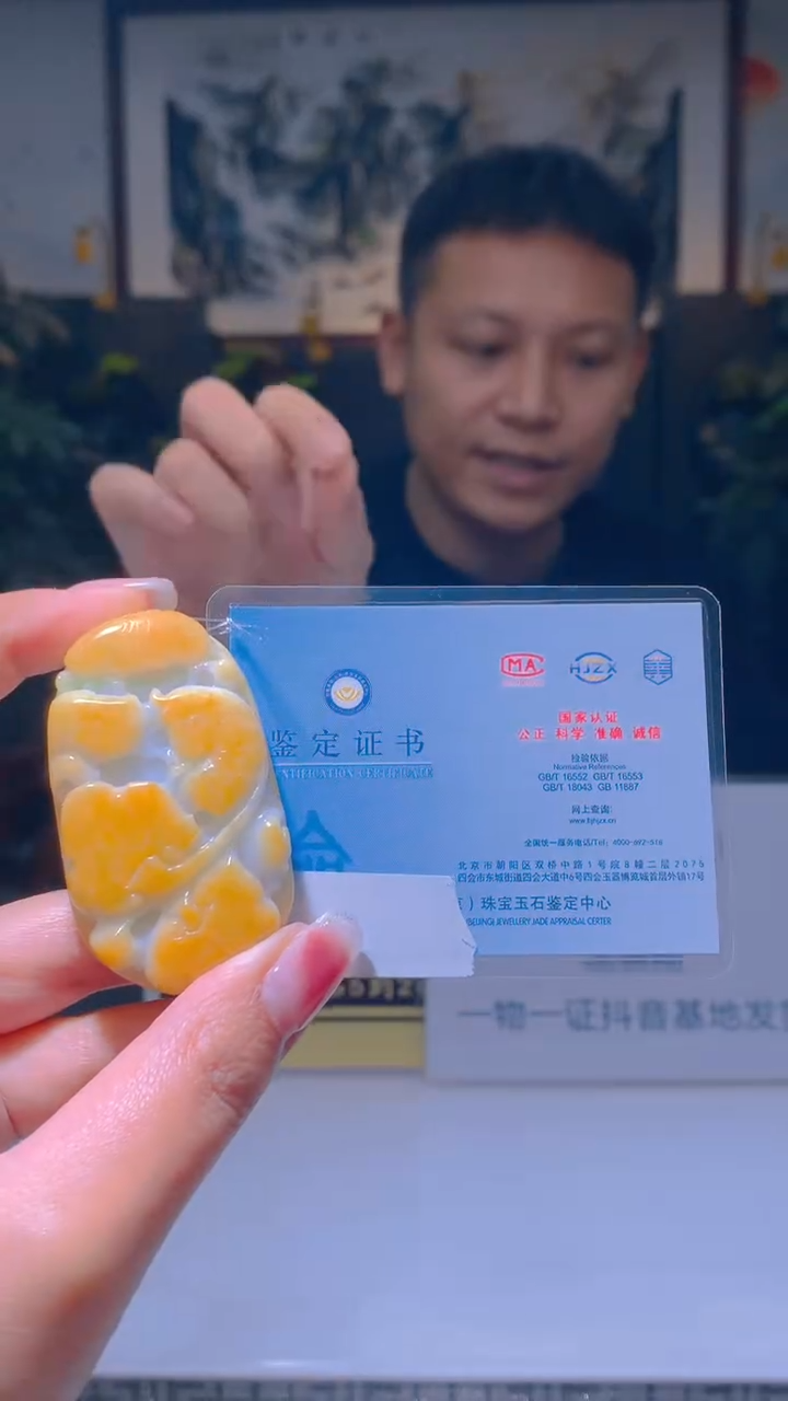 颈饰未镶嵌翡翠闪购翡翠链接WL005