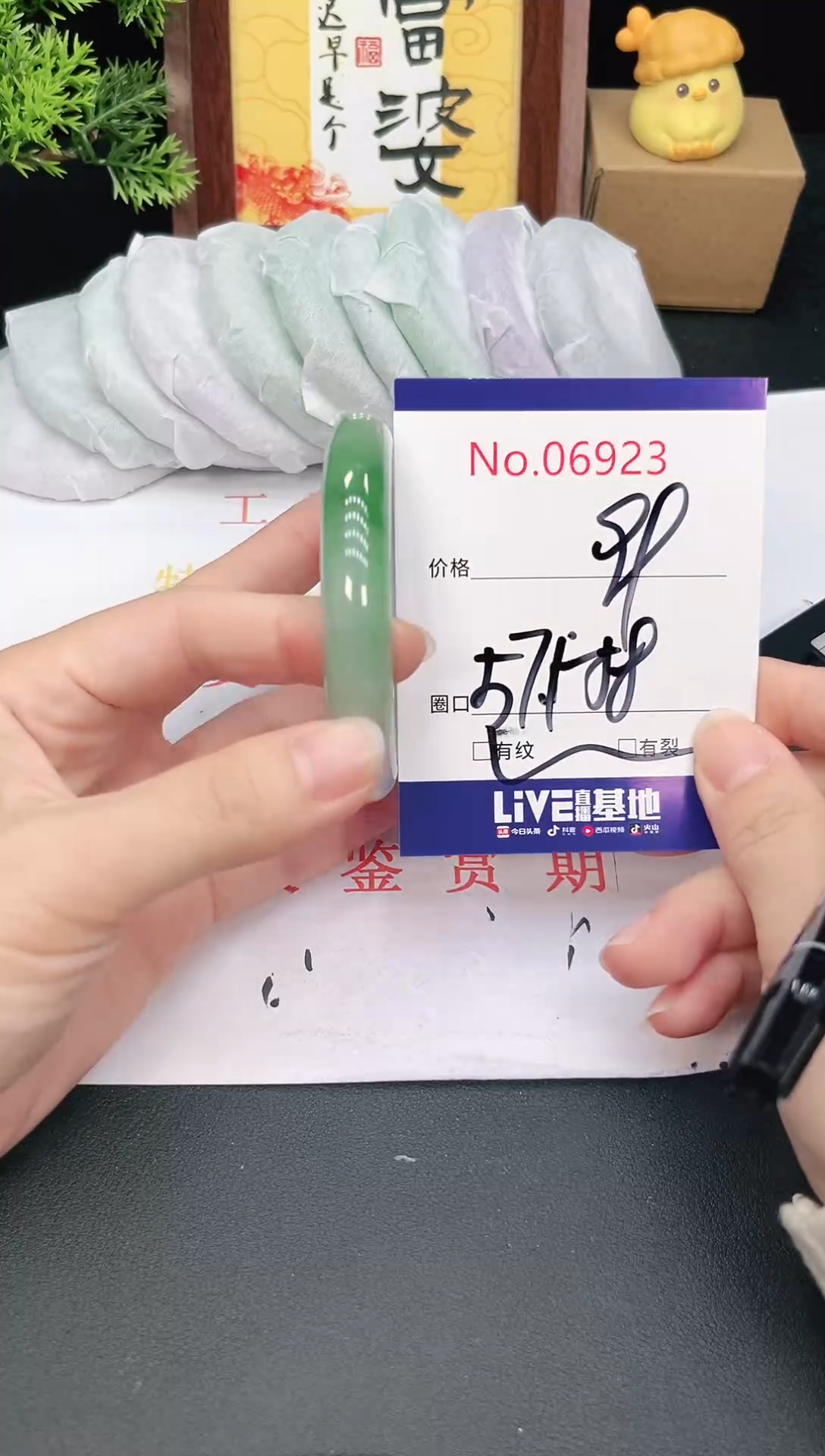 未镶嵌手镯翡翠6923