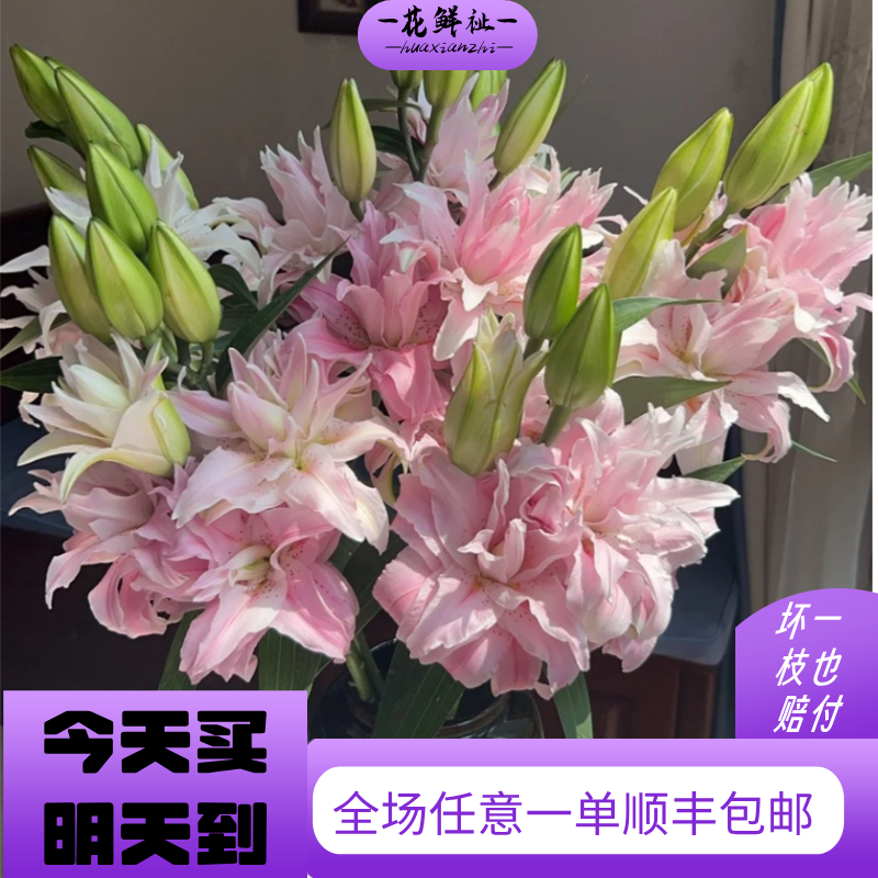 花鲜祉【重瓣戴安娜香水百合树2枝】全场任意一单顺丰包邮次日达
