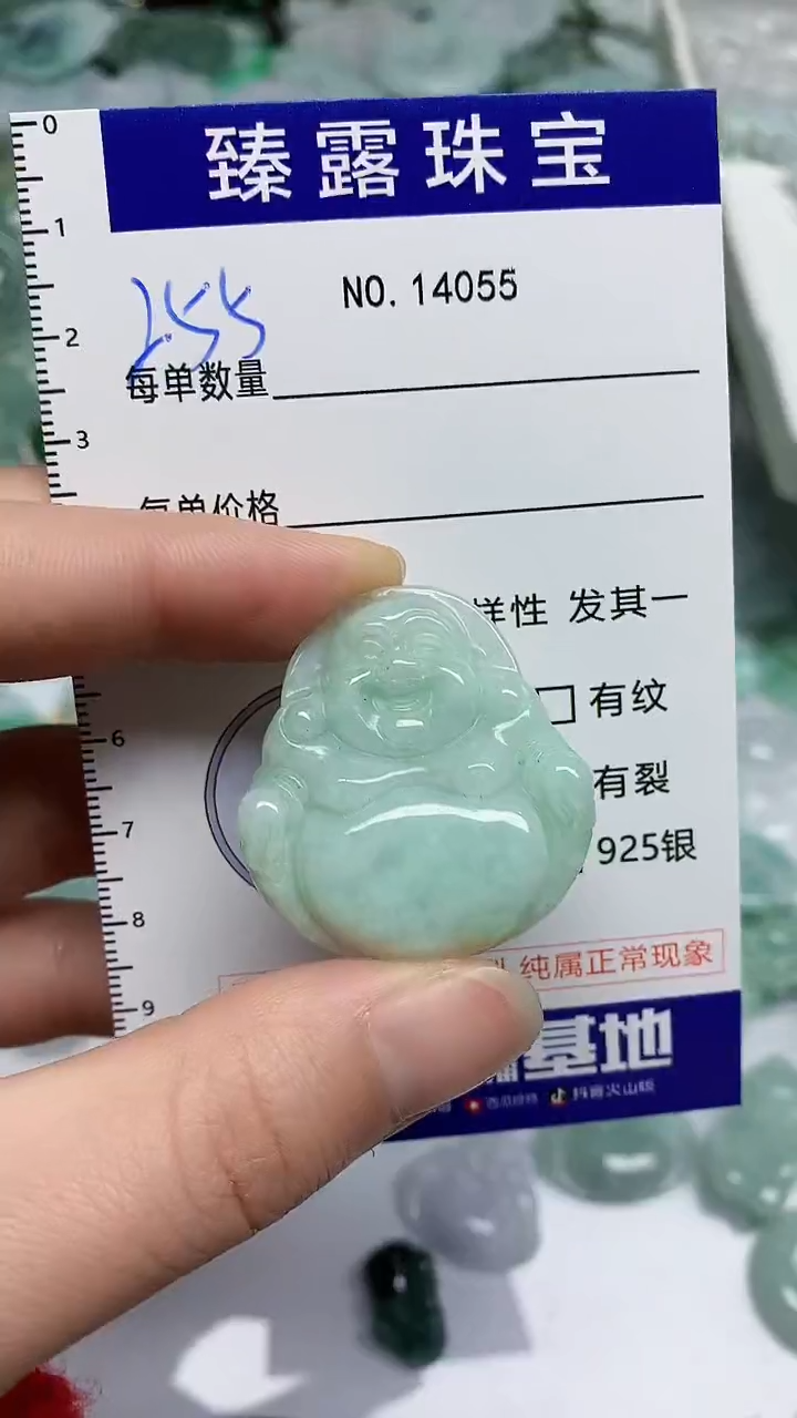 【闪购商品】翡翠颈饰未镶嵌臻露珠宝255