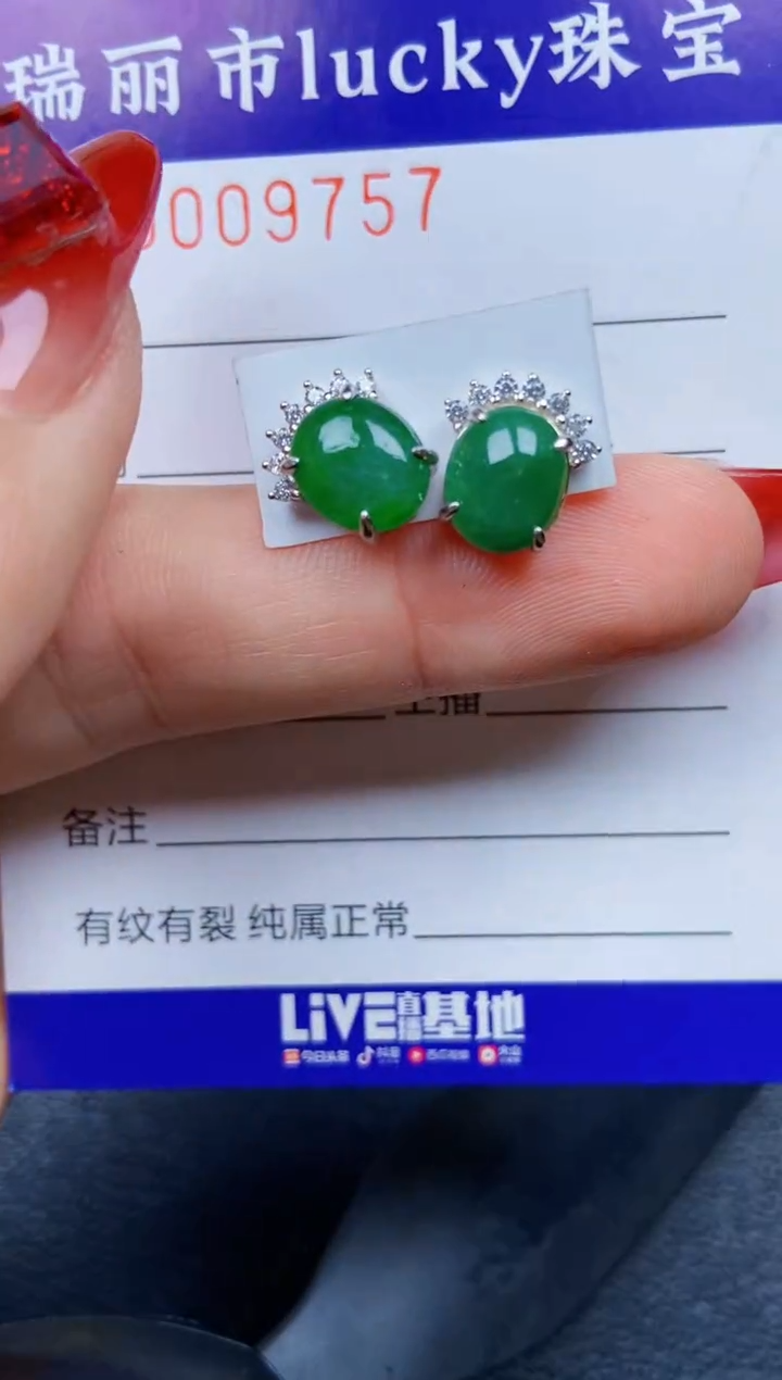 【闪购商品】翡翠颈饰银S925镶嵌9757