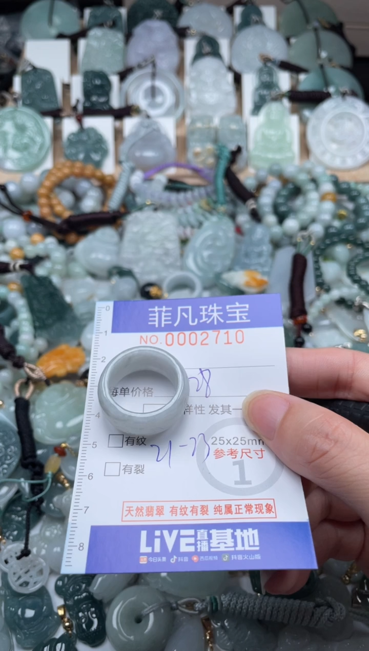 翡翠未镶嵌颈饰00..2710