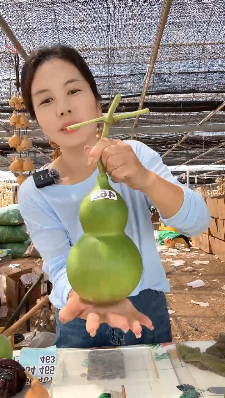 462天然葫芦摆件 一物一拍龙头不保售后