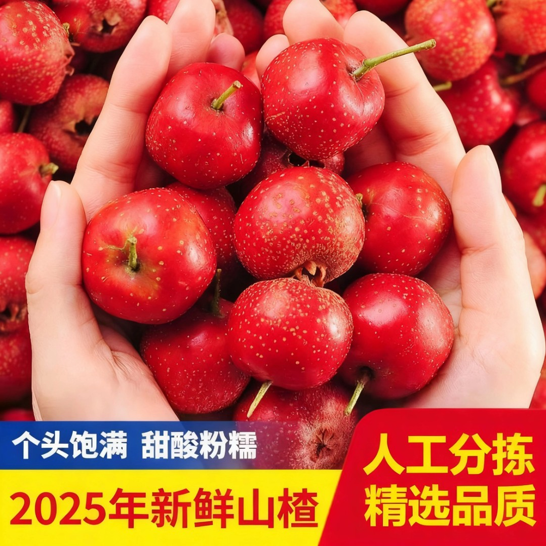 山楂果新鲜装鲜山楂现摘山楂山里红果糖葫芦干片批发鲜果