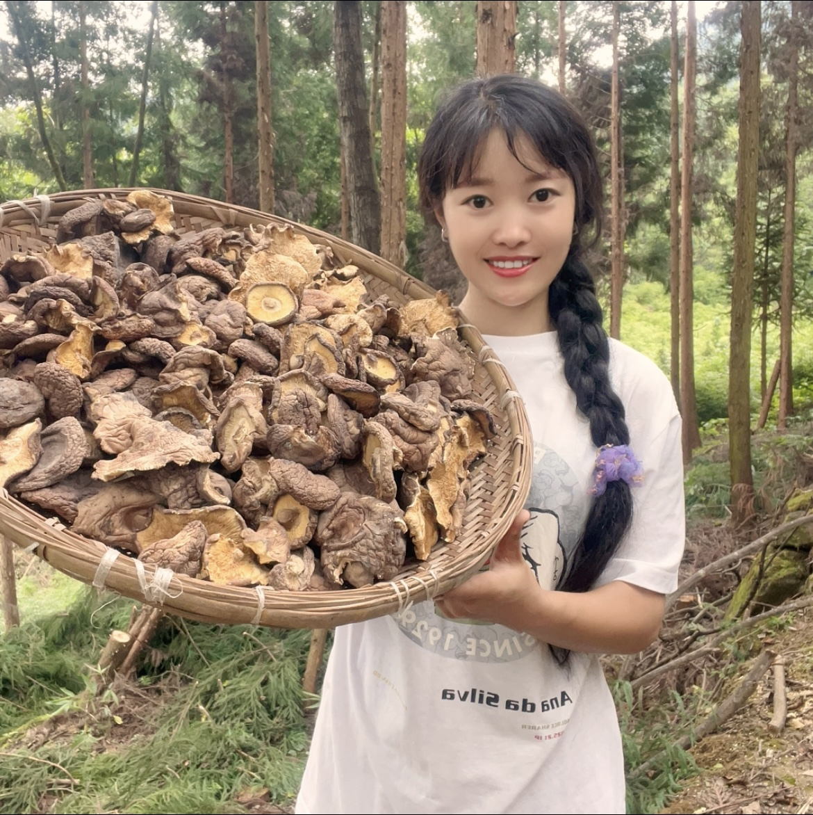 【四妹 冷藏保存】大凉山高山农家土香菇 干香菇无硫生大小混发