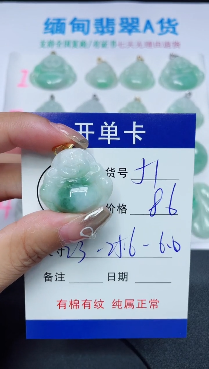 翡翠未镶嵌吊坠(赠链)51