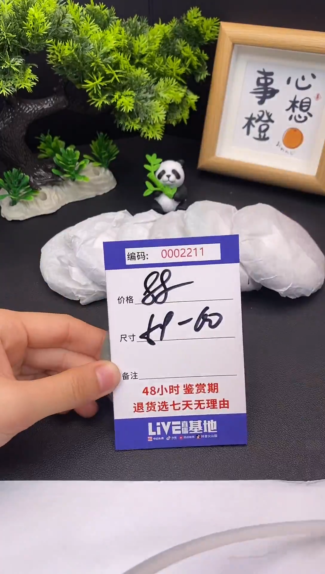 未镶嵌手镯翡翠0002211