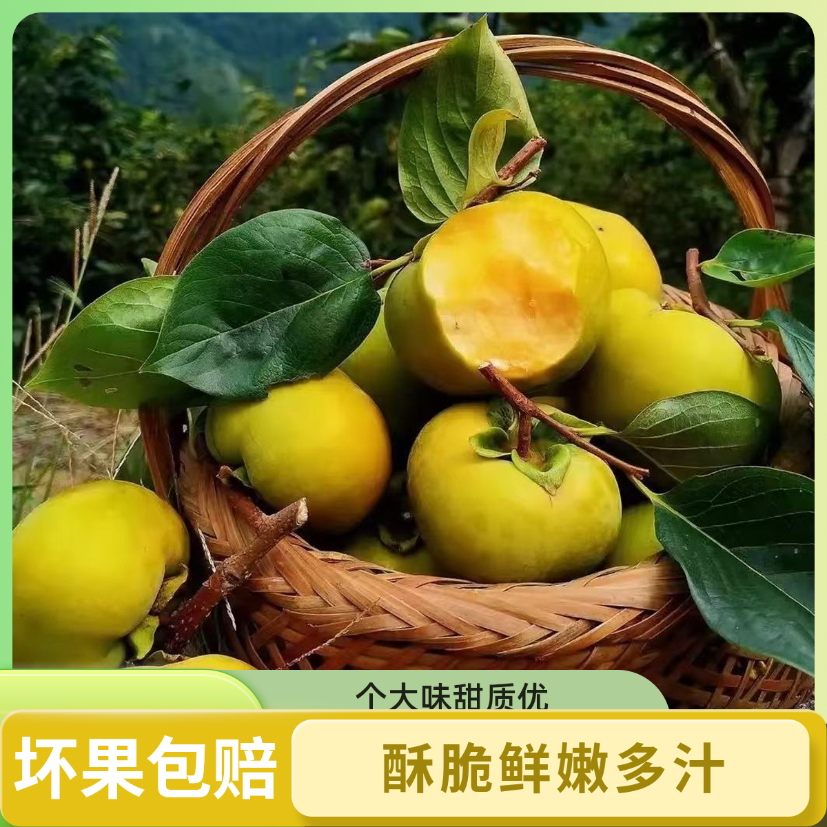 【二级果+当日摘】正宗太秋脆柿运城水果太秋甜柿