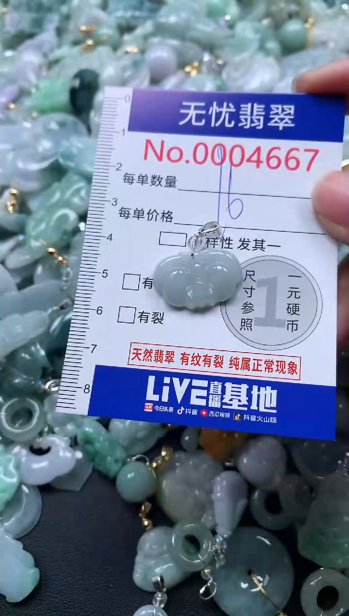 颈饰未镶嵌翡翠4667