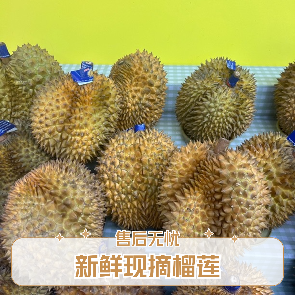 新鲜榴莲一果一重核小金枕泰国树熟榴莲同城送金枕泰国东部