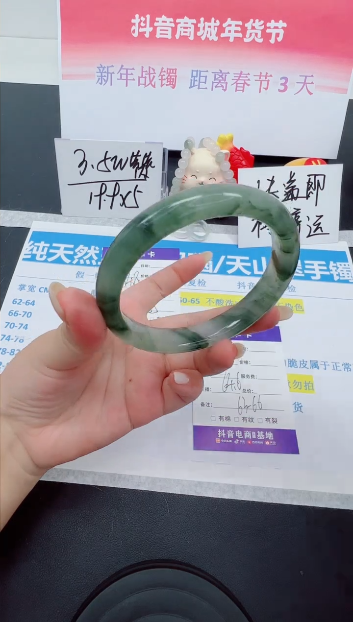 【闪购商品】石英质玉手镯未镶嵌编号：139--64.6圈 天山翠