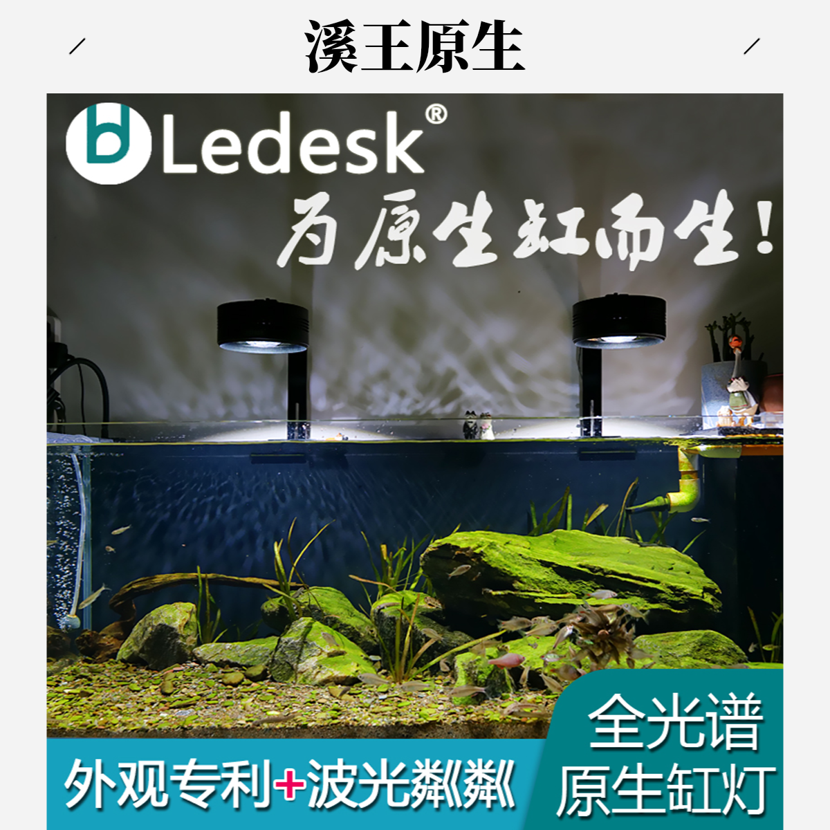 【溪王】乐迪原生溪流扁灯 72w网红爆藻水草原生鱼全光谱植物生长灯