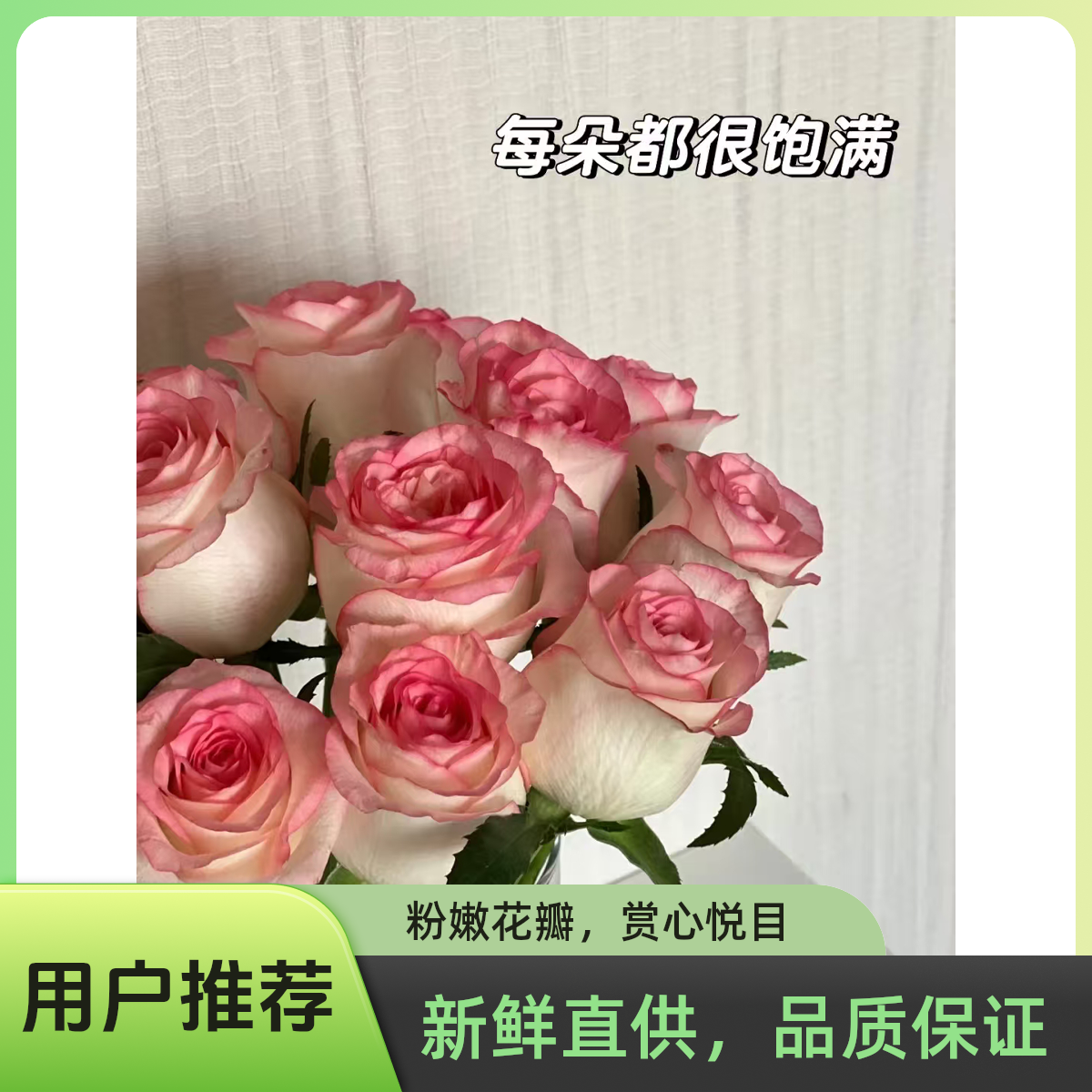 艾莎玫瑰5枝，江浙沪皖次日达