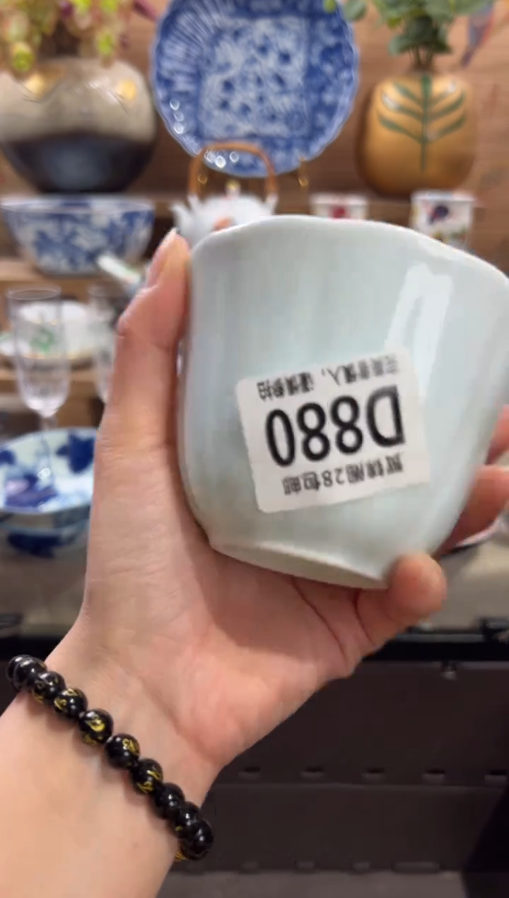 瓷片用****4      D880