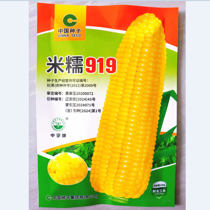 黑龙江粘玉米籽黏苞米鲜食玉米籽米糯919黄玉米籽鲜食100-500克