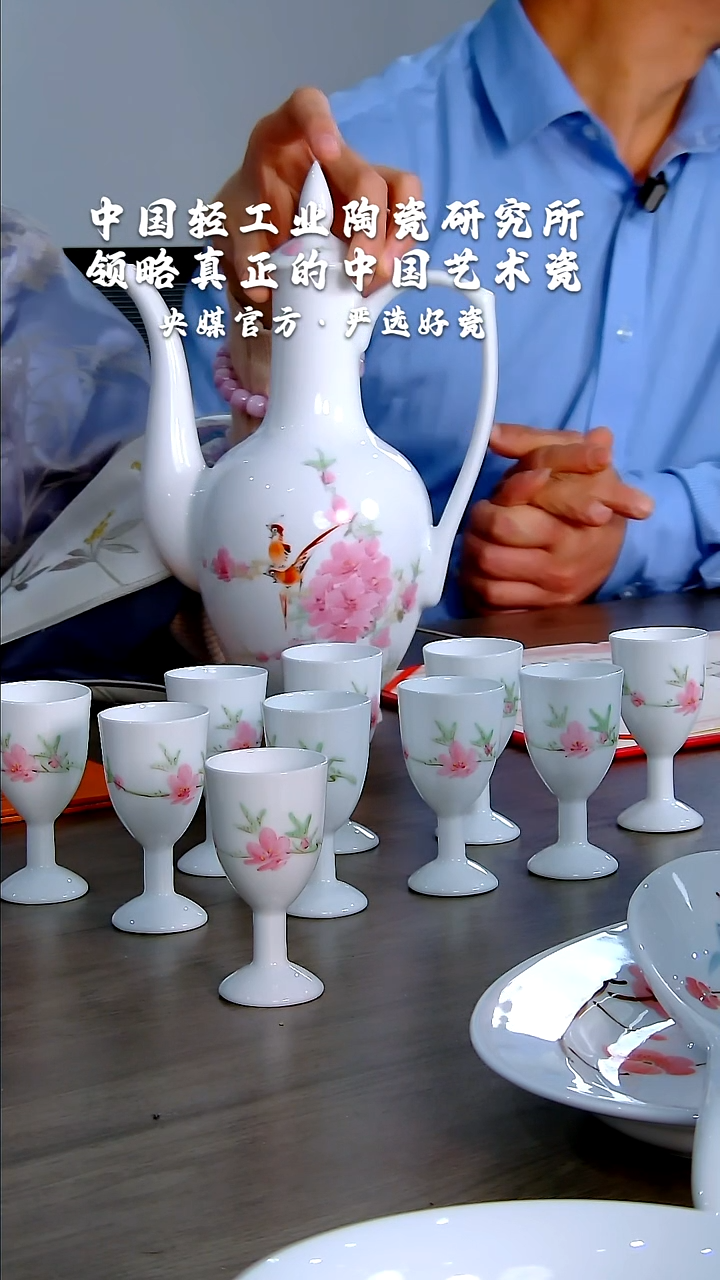 【闪购商品】瓷片陶瓷研究所   流水48