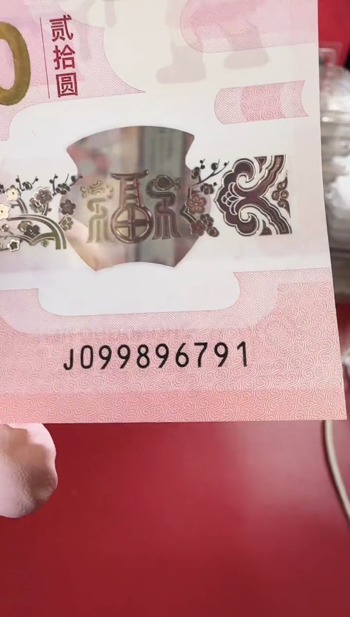 【闪购商品】塑料2025蛇钞单张啊啊啊啊啊