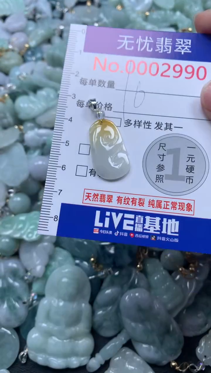 颈饰未镶嵌翡翠2990