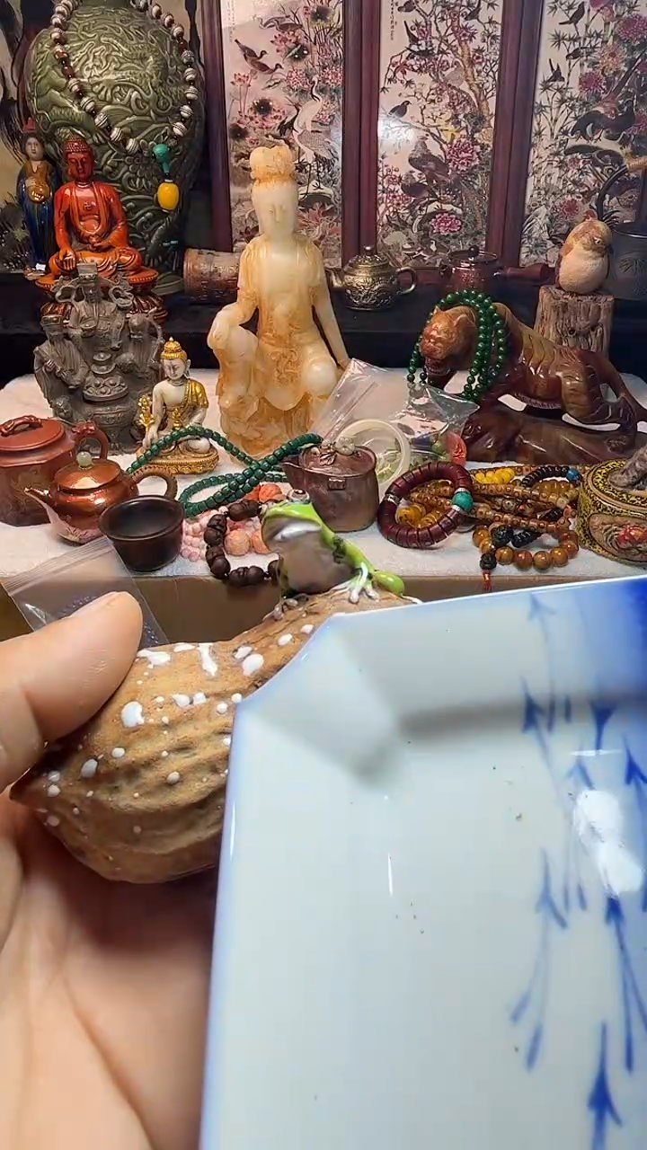 瓷器连接一物一拍