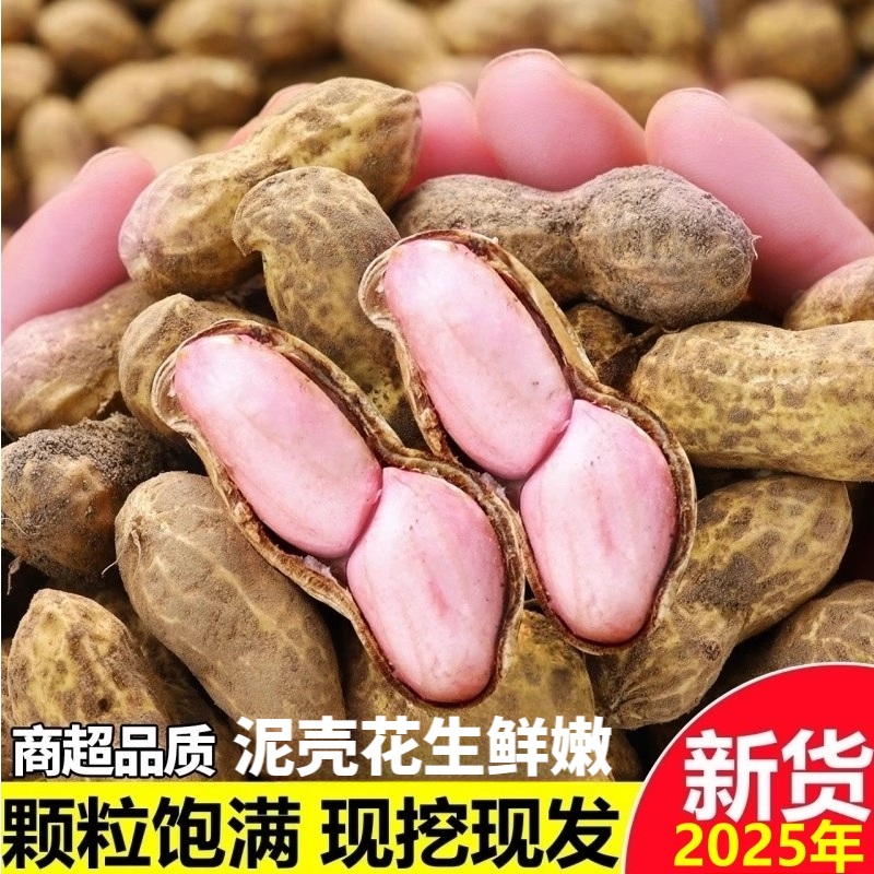 新鲜湿花生带壳花生现挖当季新鲜泥壳花生水煮生吃农家小花生新鲜