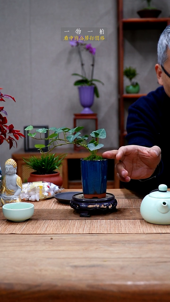 完全开放吴**?常春藤469