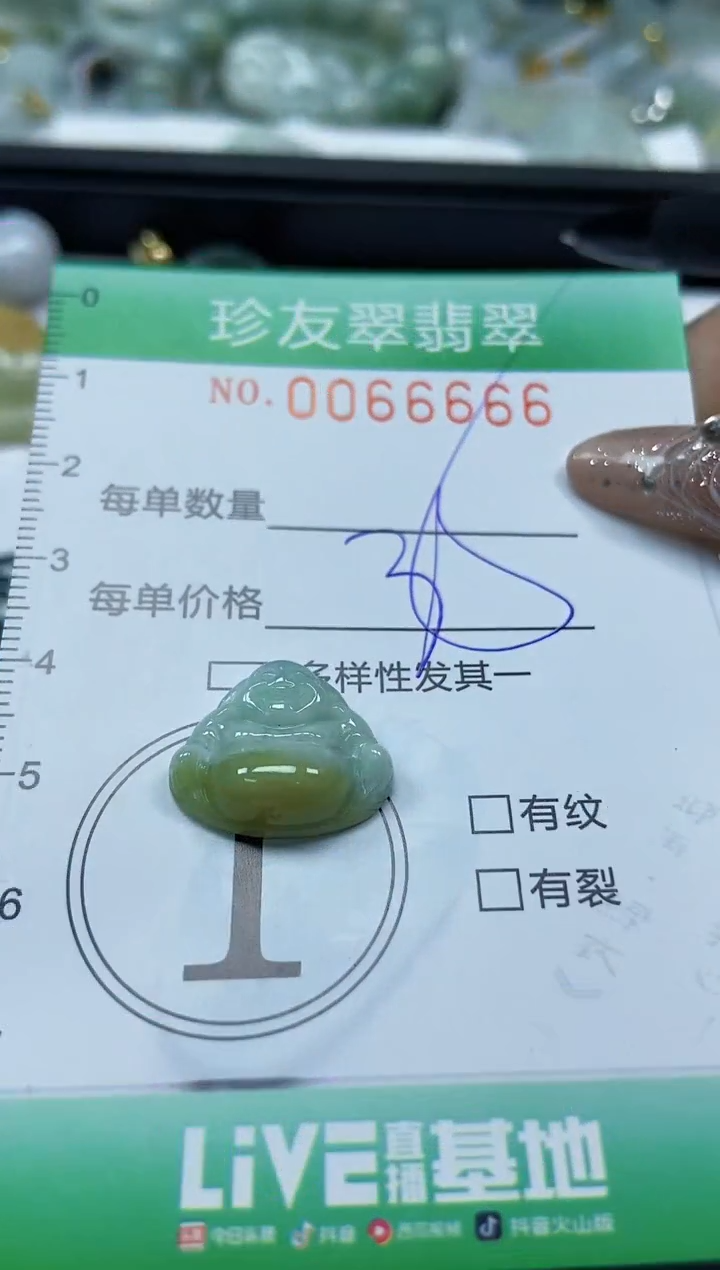 【闪购商品】翡翠颈饰未镶嵌闪购0066666