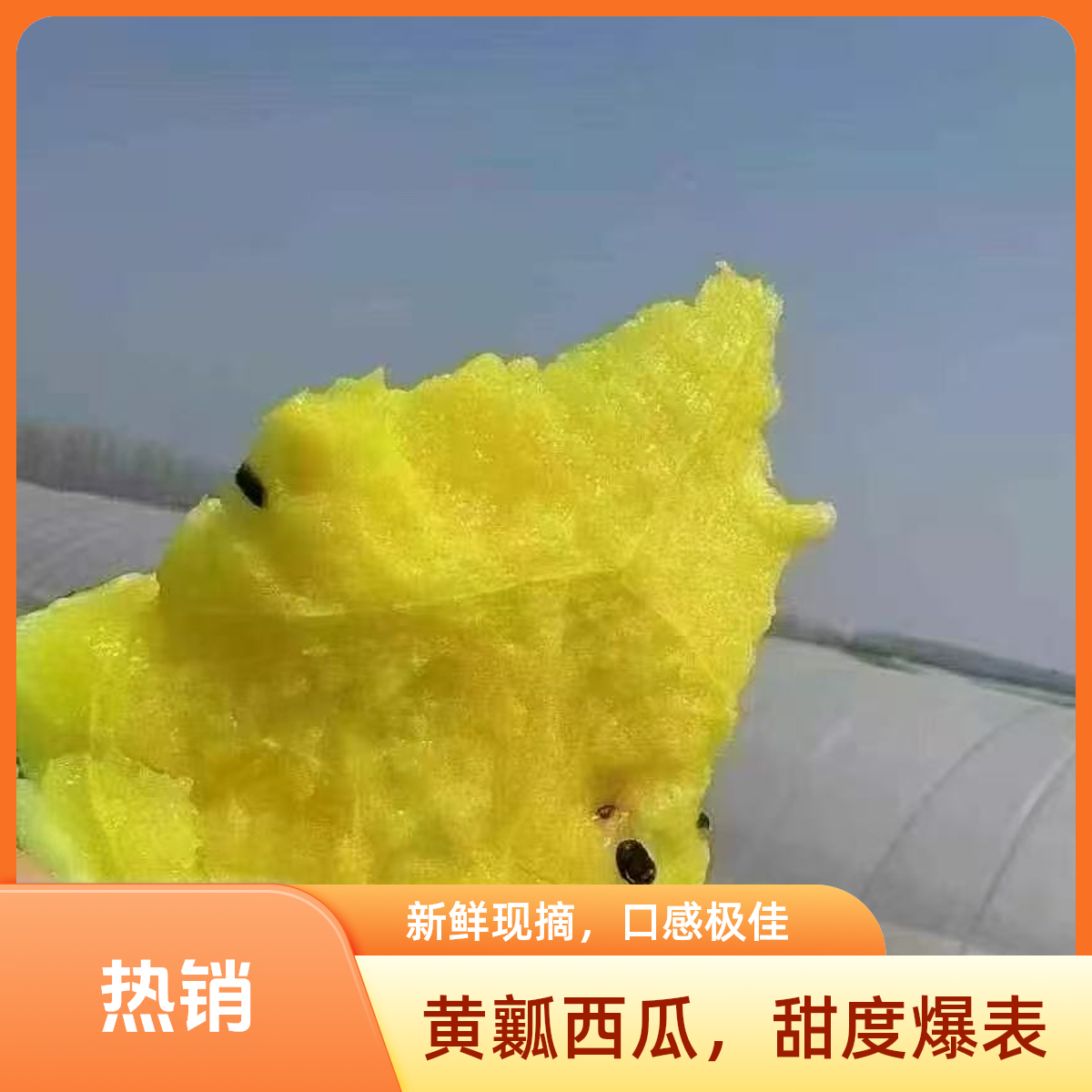 冰淇淋西瓜（4个装）西瓜同城送