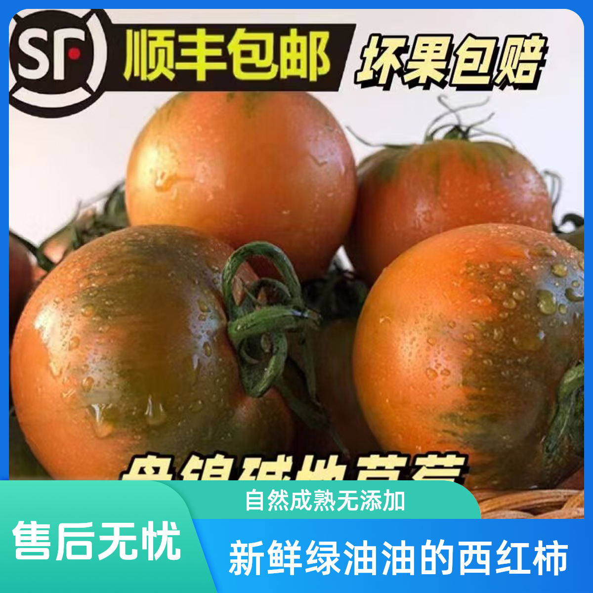 手工精选中果【1-2两】碱地，草莓，铁皮，西红柿，顺丰包邮新鲜辽宁省