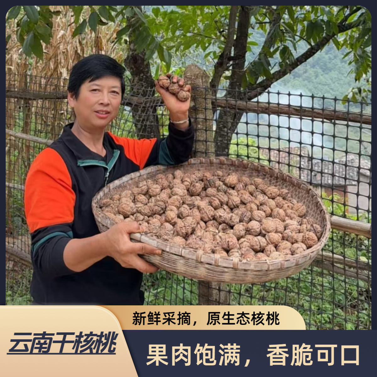 2025年当季云南高山老树薄皮原味干核桃新货