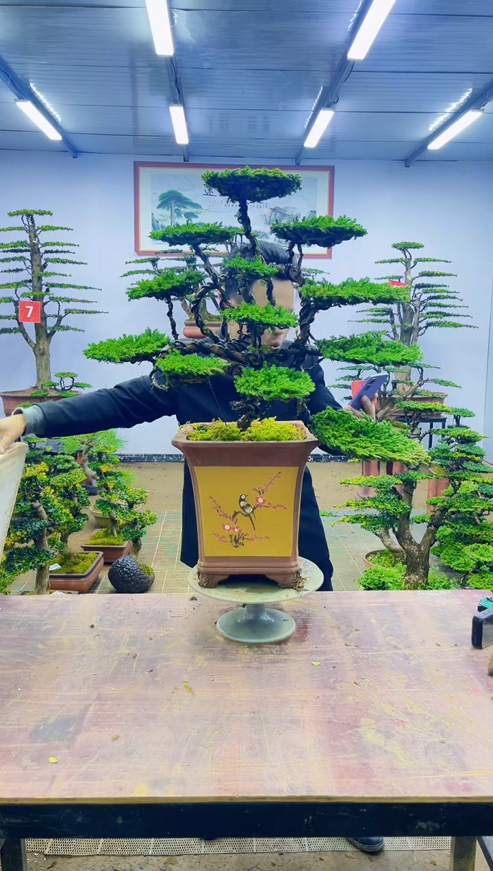 【闪购商品】一物一拍，所见即所得