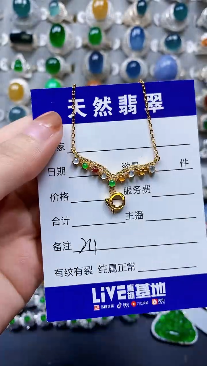 【闪购商品】翡翠颈饰银S925镶嵌0211