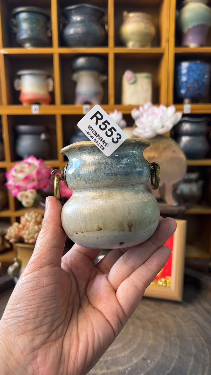 553 内口5【多肉花盆多肉盆】