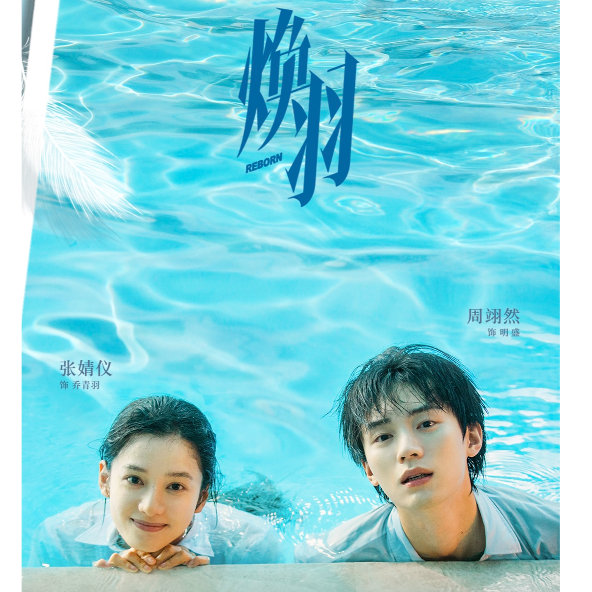 【正版授权】Cardmaster《焕羽》官方影视收藏卡（代拆）