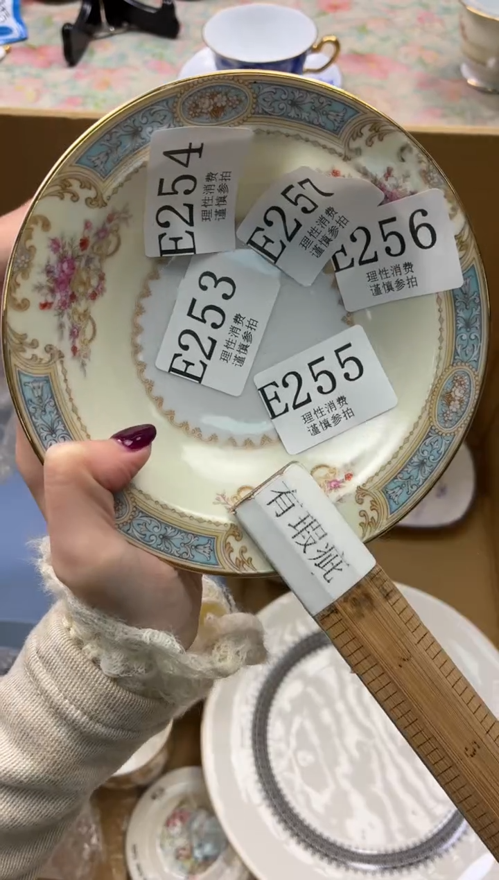 瓷片       E254