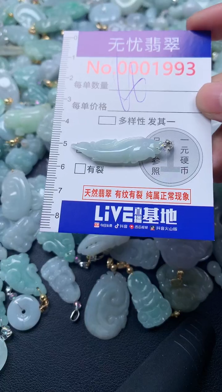 颈饰未镶嵌翡翠1993