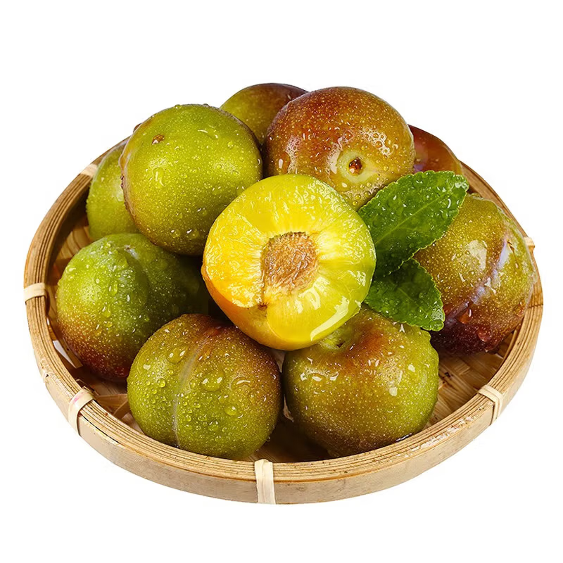 青红脆李480-500g李子同城送