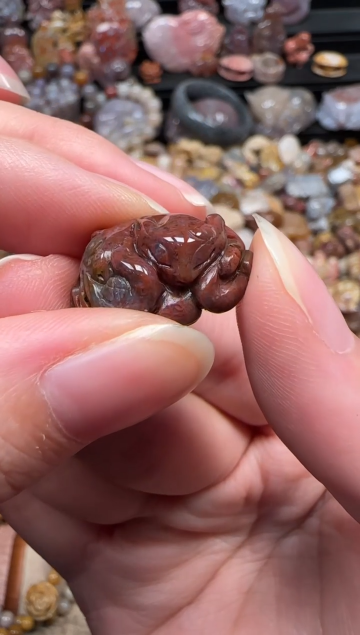 颈饰未镶嵌硅化珊瑚（珊瑚玉）130