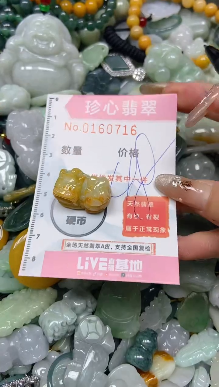 【闪购商品】翡翠颈饰未镶嵌闪购0160716