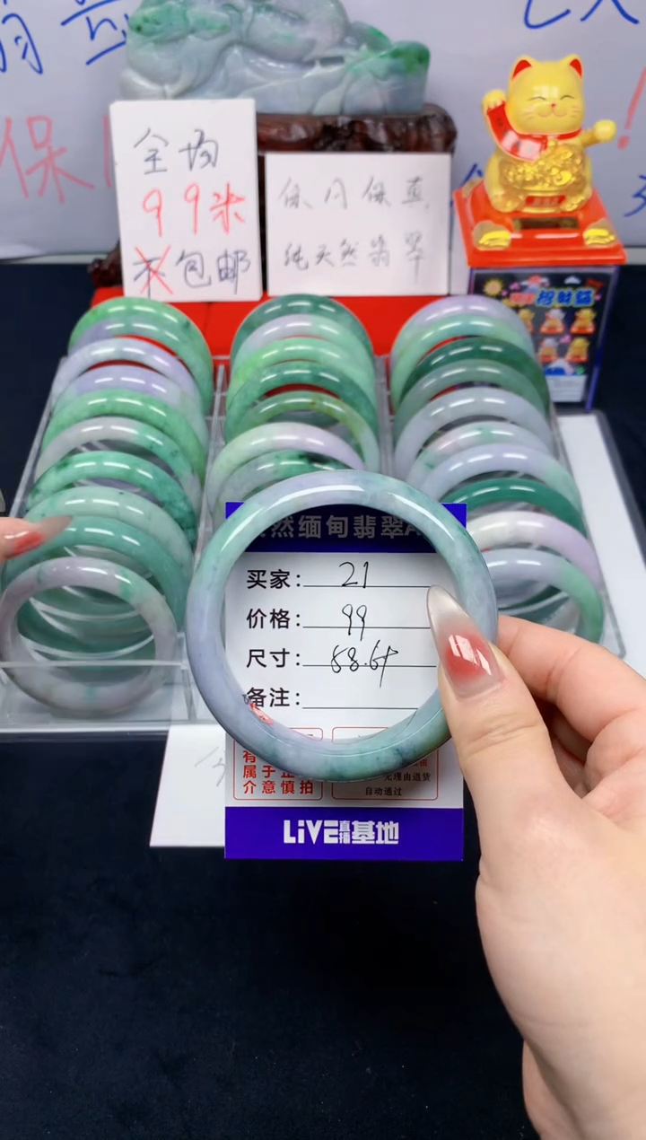 未镶嵌手镯翡翠21