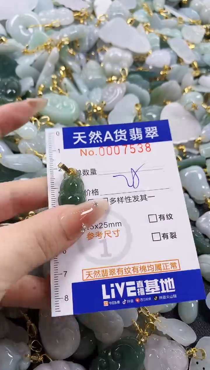 颈饰未镶嵌翡翠天然A货翡翠