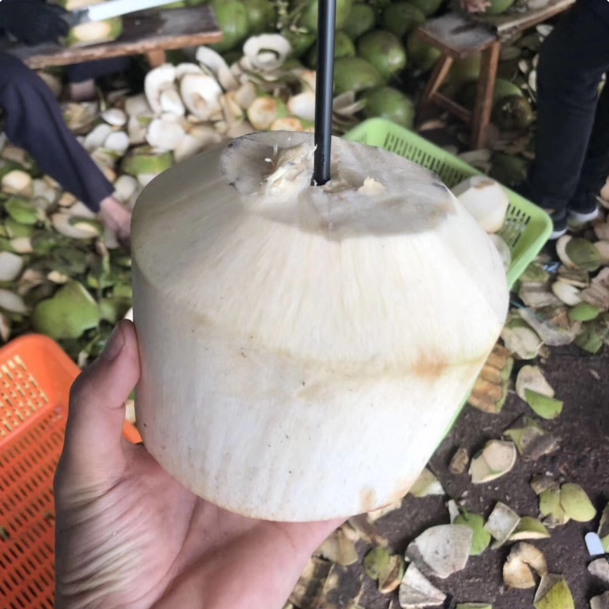 椰青1颗900克左右泉州小时达