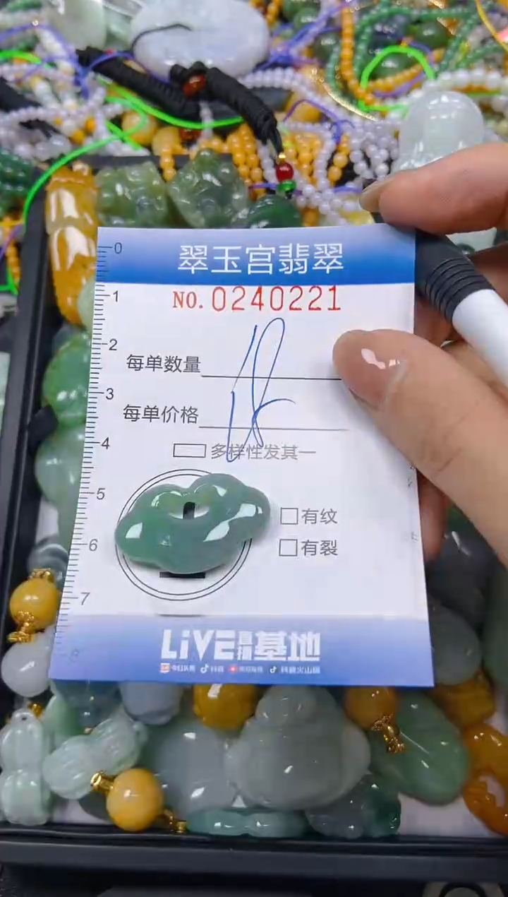 颈饰未镶嵌翡翠闪购C0240221