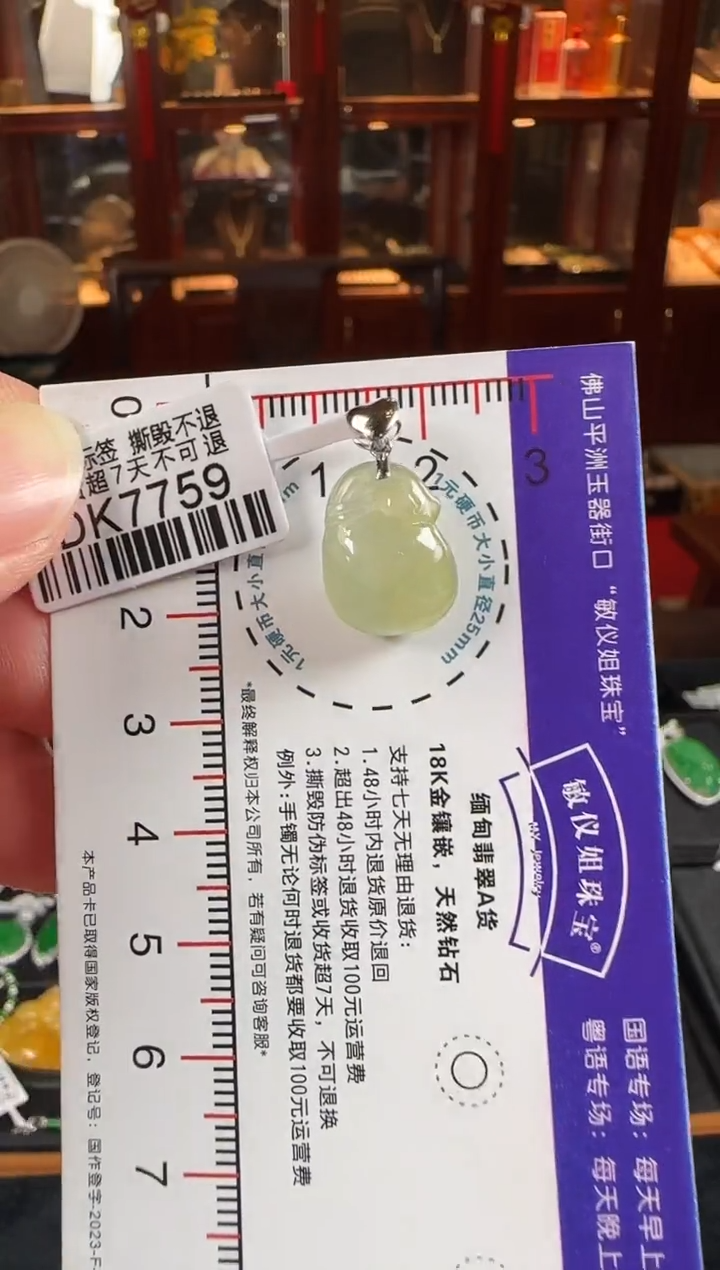 颈饰18K金镶嵌翡翠DK7759福袋