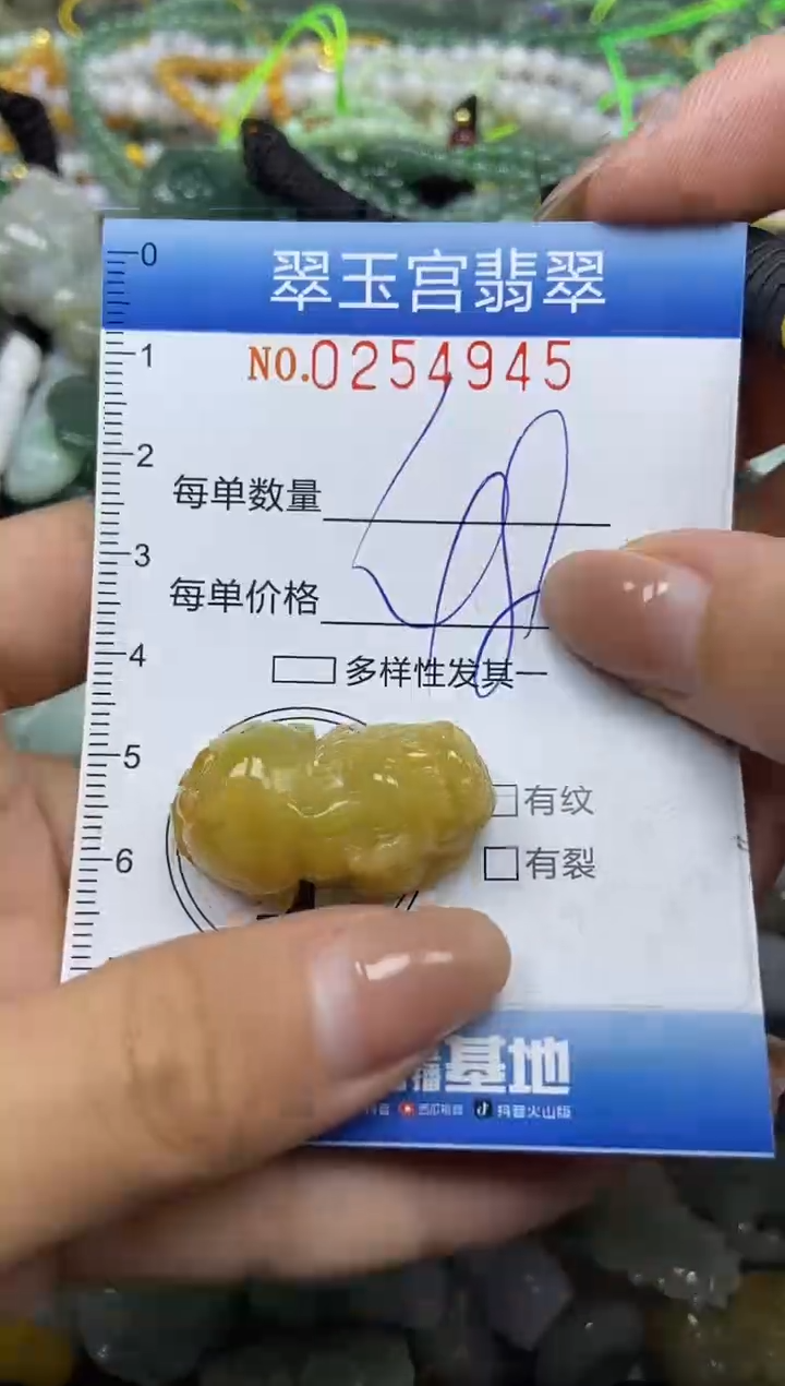 颈饰未镶嵌翡翠闪购C0254945