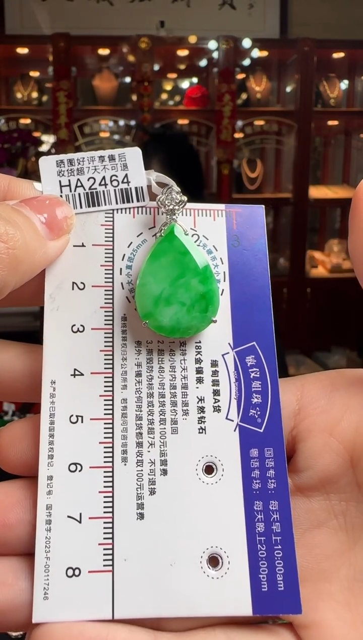 【闪购商品】翡翠颈饰18K金镶嵌HA2464冰绿滴水