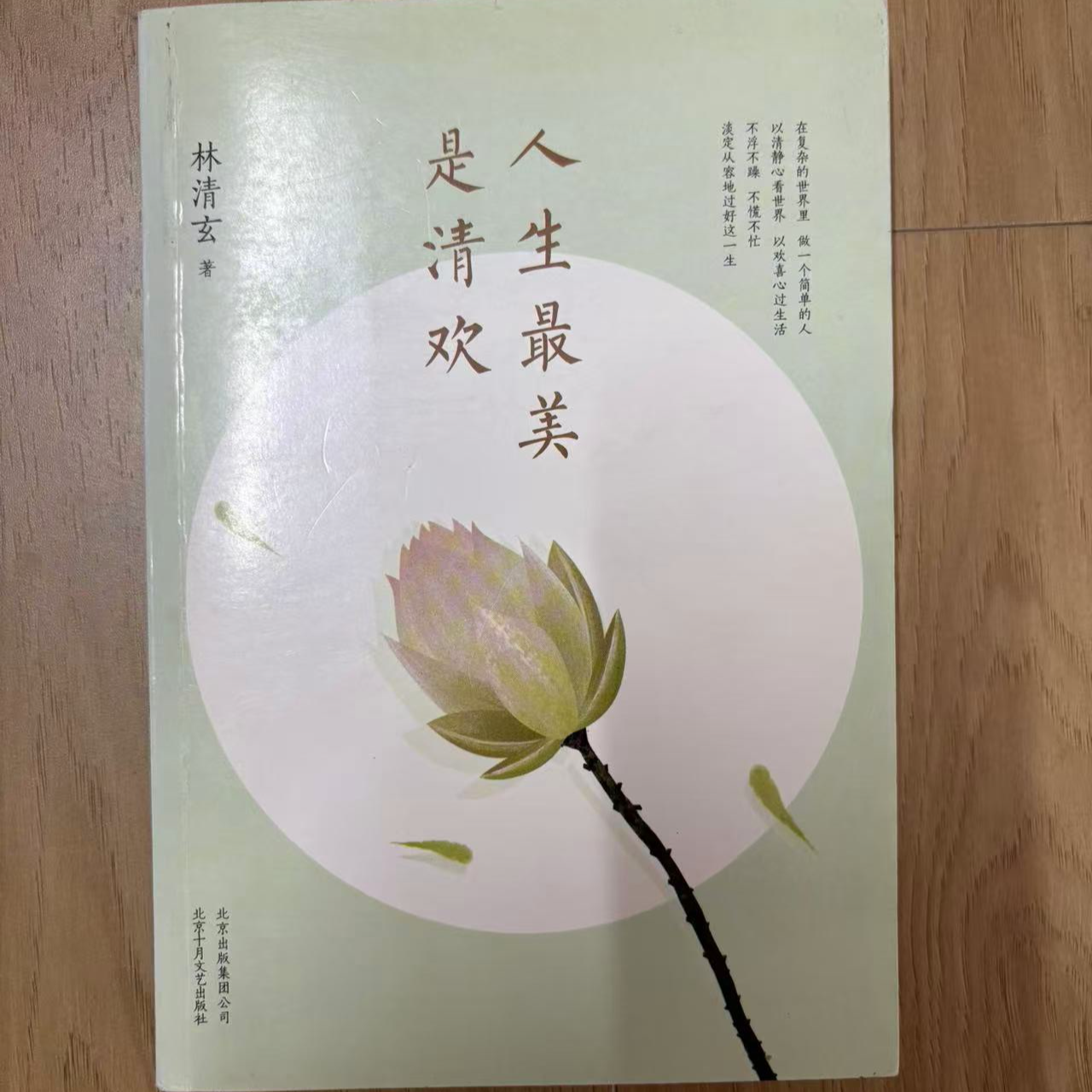 10-20 微瑕 人生最美是清欢 