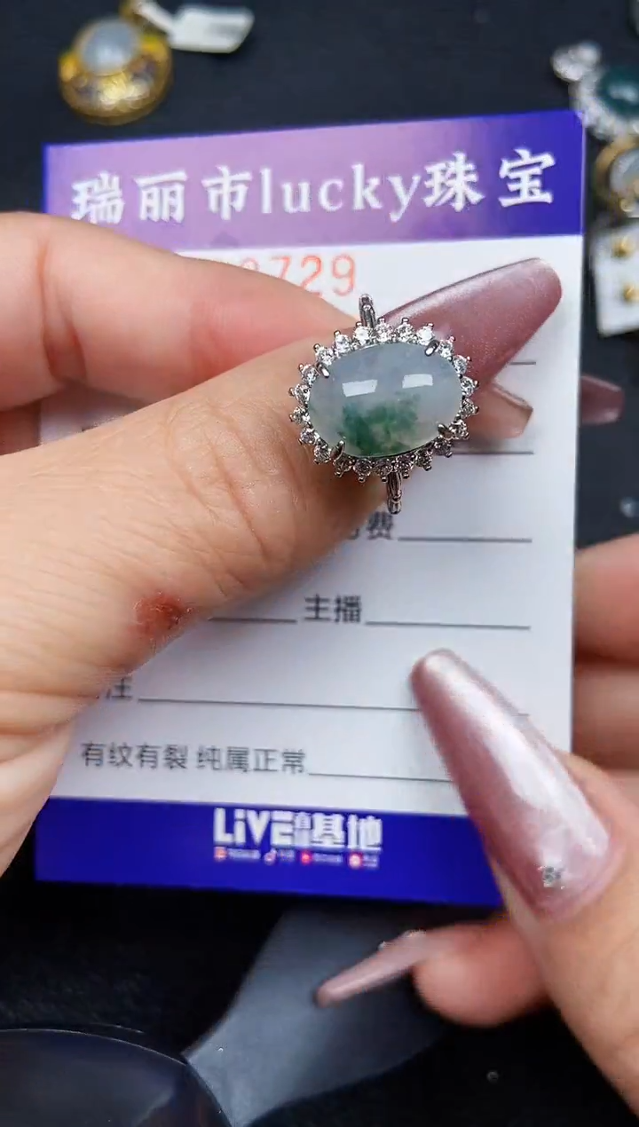 翡翠银S925镶嵌颈饰8729